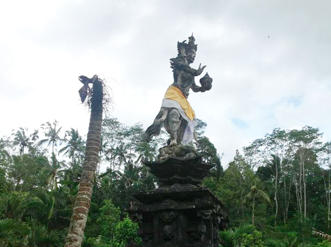 bali 50 1