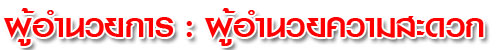 director services