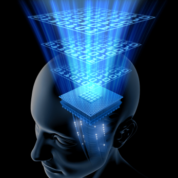 knowledge head