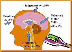 brain2