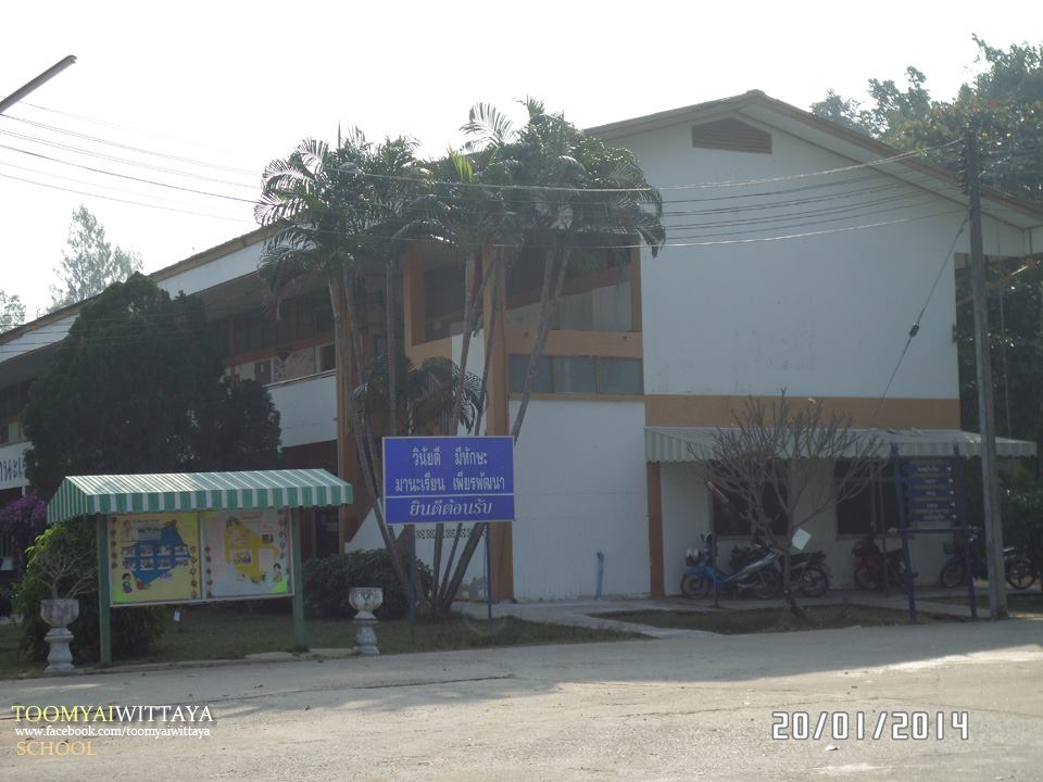 director services 04