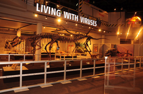 Living with Virus singapore 32